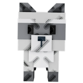 Raccoon