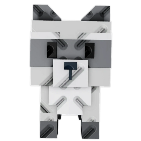 Raccoon