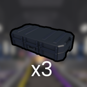 Skin Case 1 [x3]